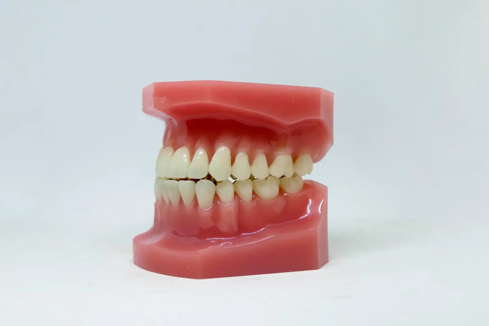 Bone-Grafts-2