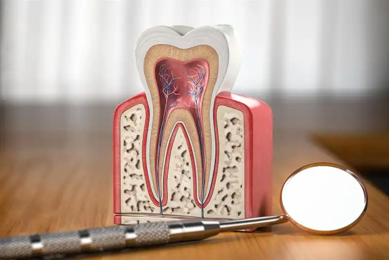 Endodontics-2